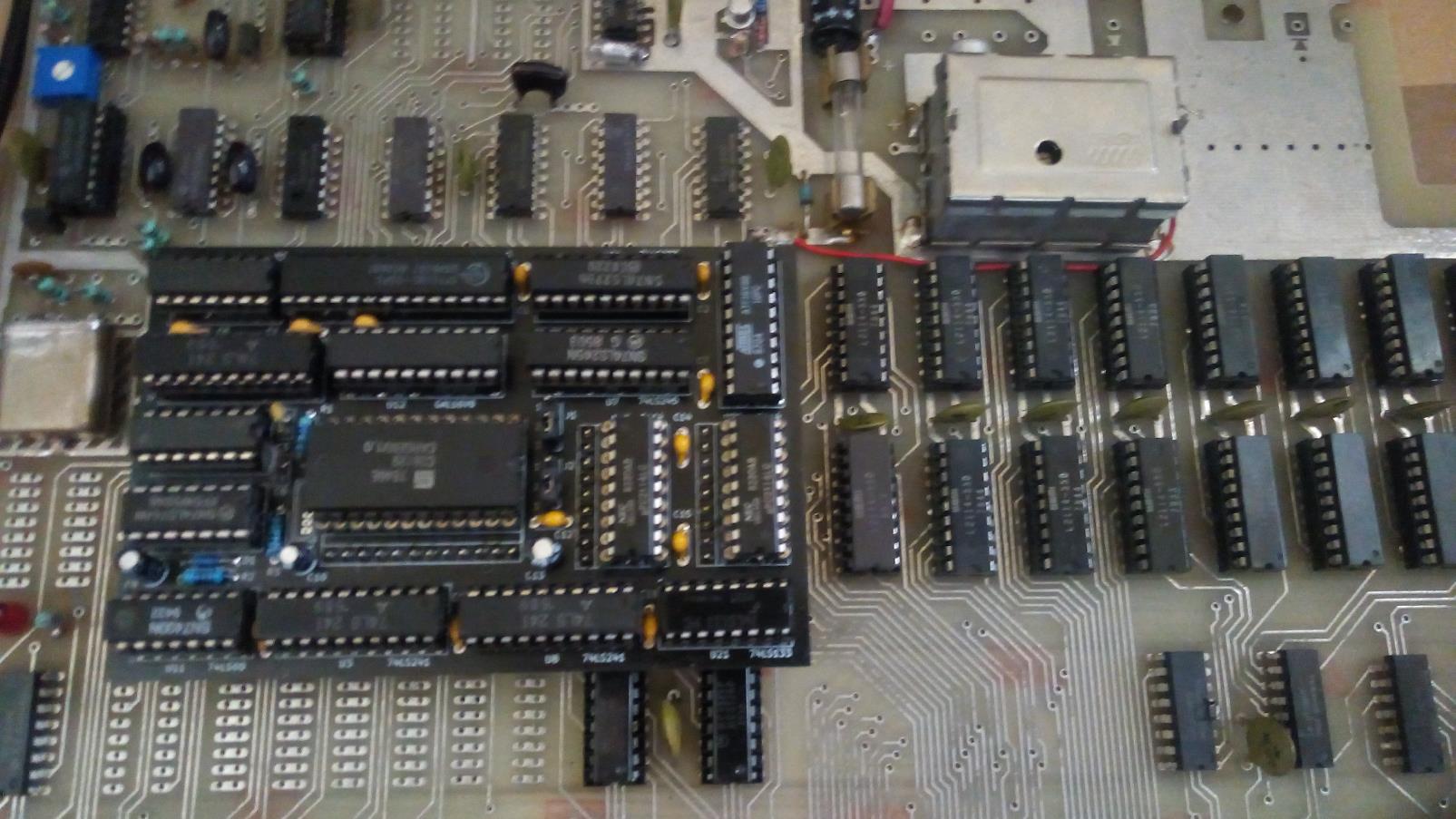 P5.jpg