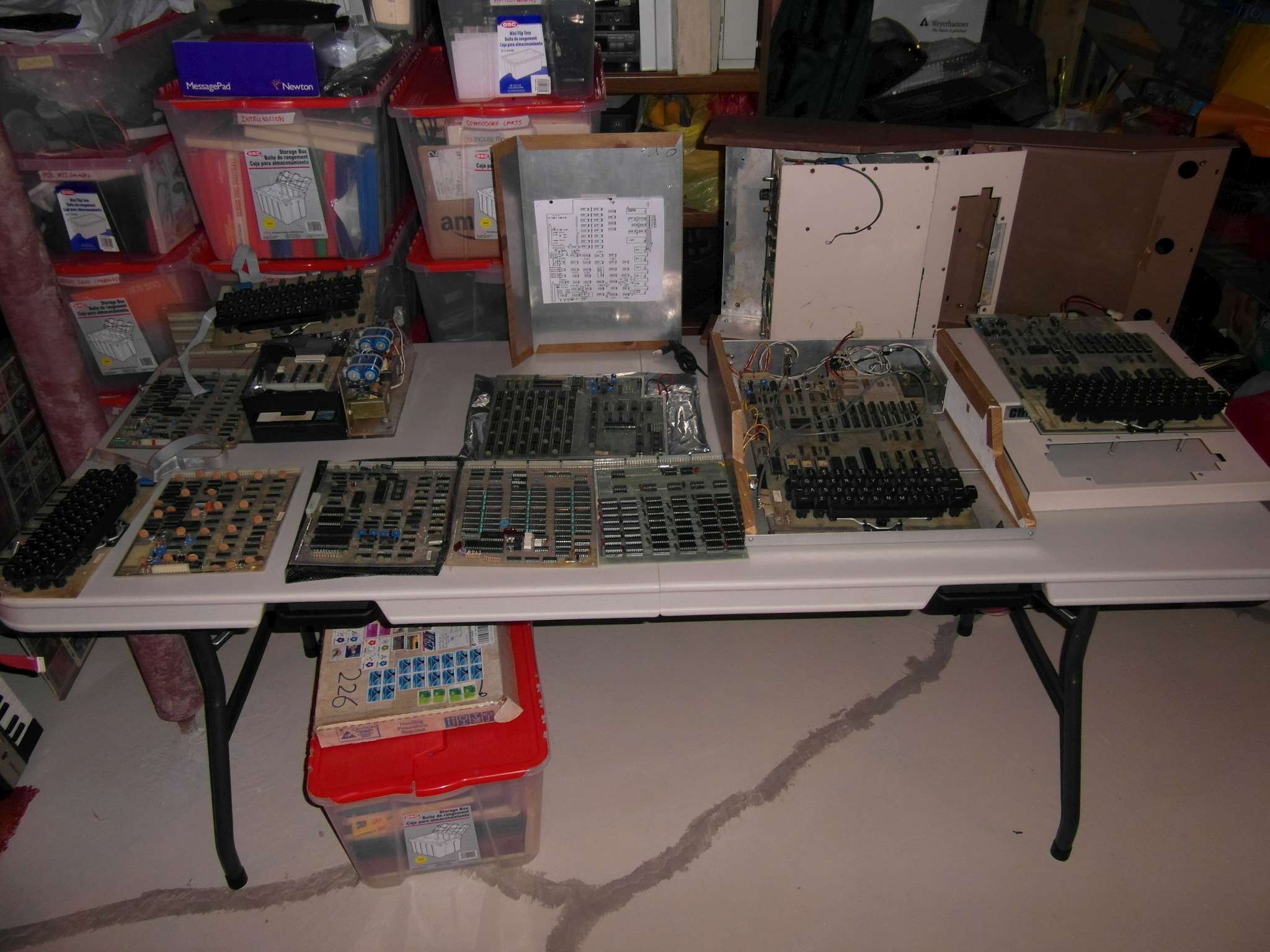 SAM_1417-P50.jpg